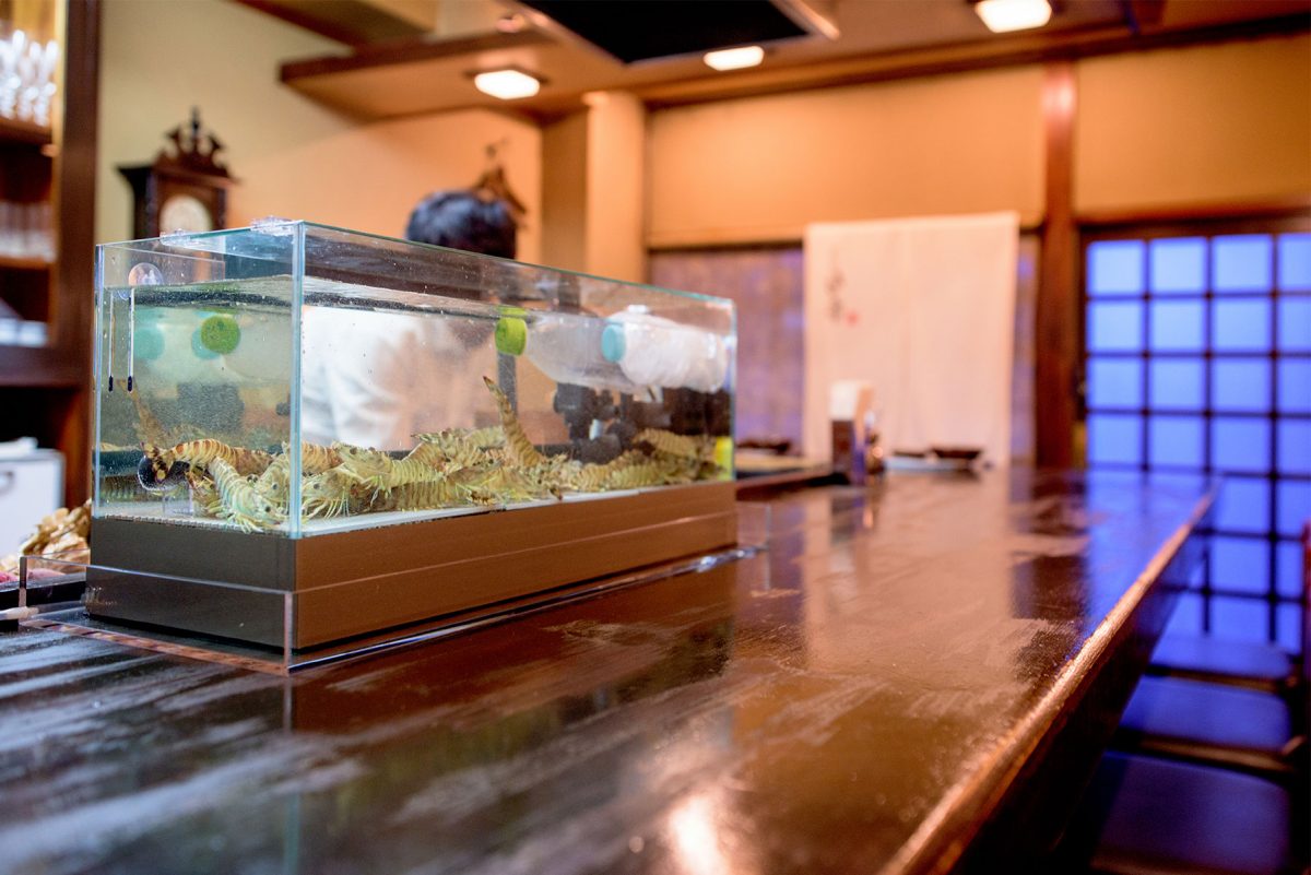 活魚水槽の設置事例 奈良で大人気の老舗天ぷら店様の車海老用水槽 Glosso