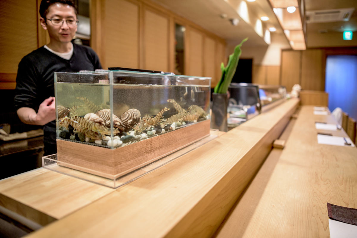 活魚水槽設置事例】京都府宇治市の「鮨席 初瀬」様 | GLOSSO